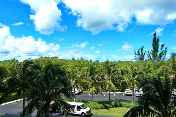 View South Seas Tower 4-301 Vacation Rental Marco Island FL