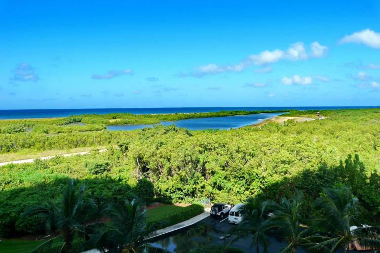 View South Seas Tower 4-602 Vacation Rental Marco Island FL